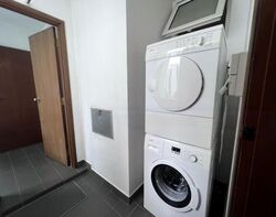 The Balmoral Spring (D10), Apartment #480566171